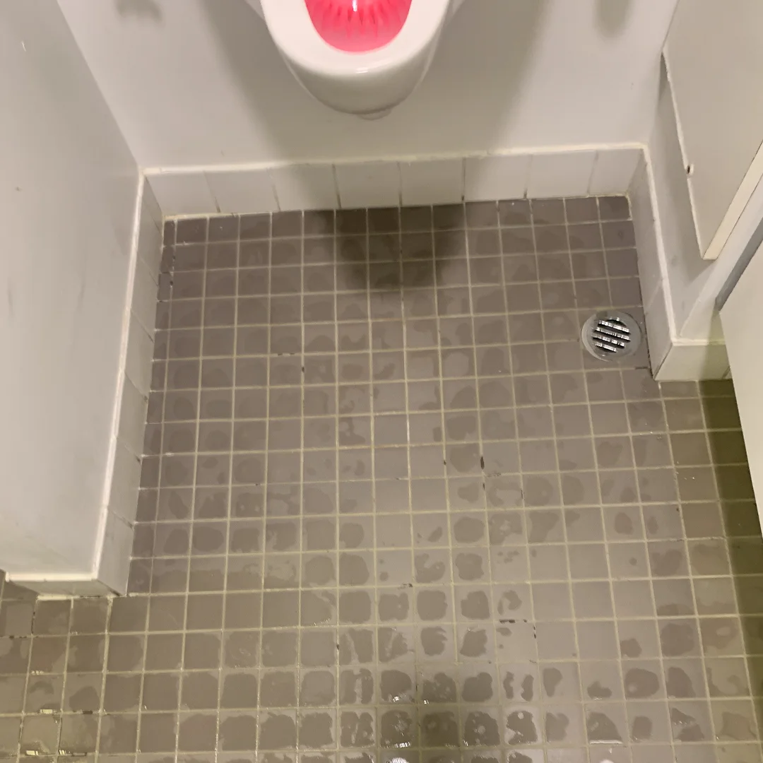 tile and grout cleaning perth