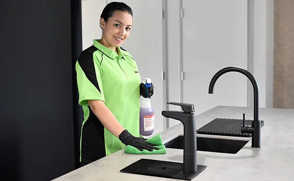 spring cleaning services