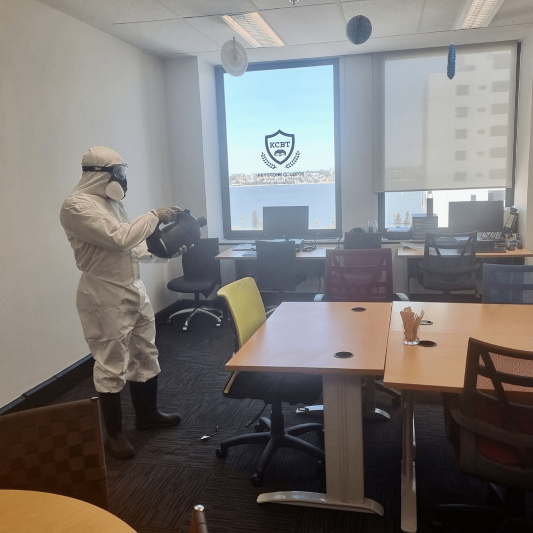 covid cleaning services